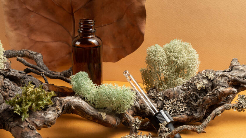 Origine naturopathie