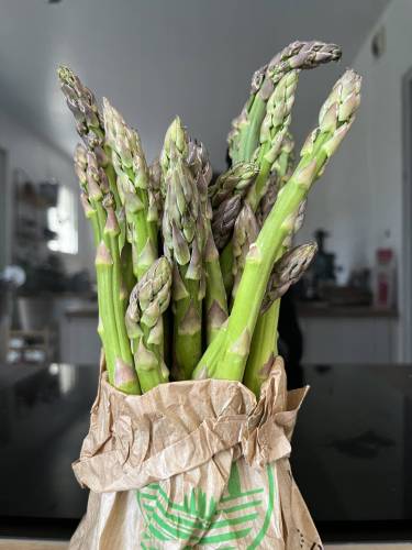 asperges